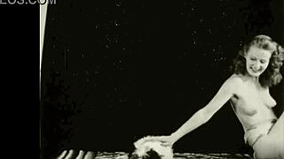 Dark lantern presents beauty and the beast