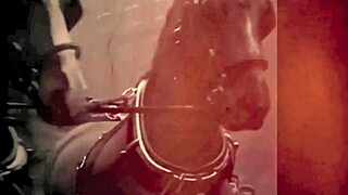 Dark lantern presents beauty and the beast