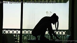 Bigtittygothegg Silhouette Dildo Riding