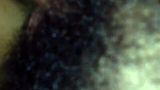 con la lucy, just chilling with some fun toy play today