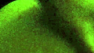 Ex Screams Loudly During Hardcore Ass Fucking