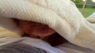 Risky Backyard Swallow With Neighbors Watching