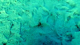 Risky Public Masturbation In Park With People Watching