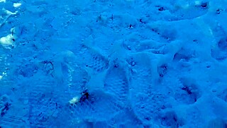 Risky Public Masturbation In Park With People Watching