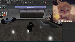 Condo showcase features silly hilarious activities in the usa.