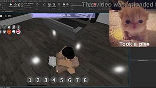 Condo showcase features silly hilarious activities in the usa.