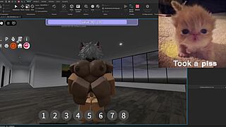 Condo showcase features silly hilarious activities in the usa.