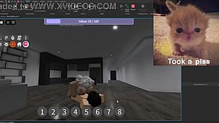 Condo showcase features silly hilarious activities in the usa.