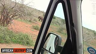 Big Black Booty Ebony Pussy Stretched Wide by Hung American in POV