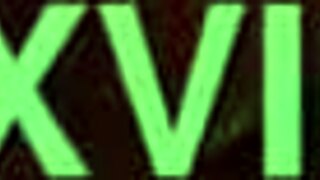 brunette beauty with big tits performs oral