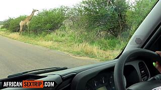 Big Black Booty Ebony Pussy Stretched Wide by Hung American in POV