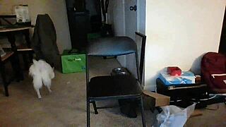 Slutty ex bitch teen 18+ riding big black monster cock