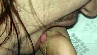 pack night four continues