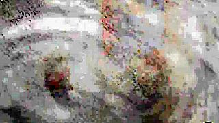 Sexy Latin Milf Katherinne Sofia Shows Amazing Natural Body!