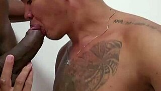 She swallowed my whole monster cock, moaning sensually in the bedroom