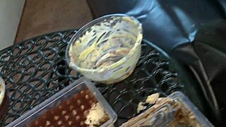 Lou Lou And Sensual Jane Tongue Wet Pussy