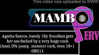 Agatha Santos, barely 18 Brazilian, rides huge cock with dirty talk. Her pussy gapes after anal.