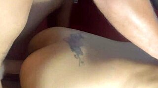 Slim brazilian babe rides brother-in-law's cock doggystyle