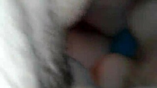 homemade blowjob with girlfriend sucking close up