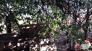 brazilian amateur gets anal fucked in the woods