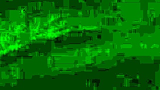 Jiji Gold performs an energetic twerk dance