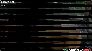 this trailer taxi takes you around mexico