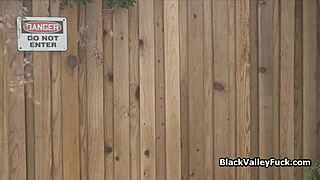 ebony coeds licking white bully's pussy