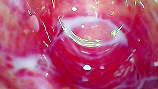 Tight Juicy Pussy On Roller Coaster With Glass Dildo Deep Inside