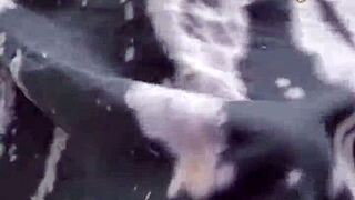 Am I Wearing Anything Underneath This Femboy Sissy Outfit with a Girlcock Bulge