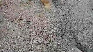 Want to see my bare feet in the sand?