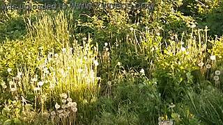 girls play with neighbor outdoors and climax simultaneously