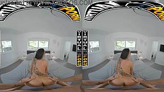 Cassie Del Isla teaches filthy rich a detailed French anatomy lesson, emphasizing anal sex in missionary, doggystyle, and bent over positions.