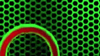 Sunny Lane poses with natural tits and big pussy lips