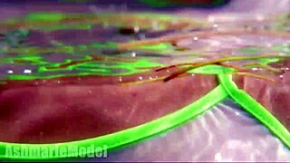 hairy underwater adventure with natural tits