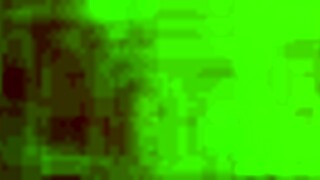Amateur homemade footage