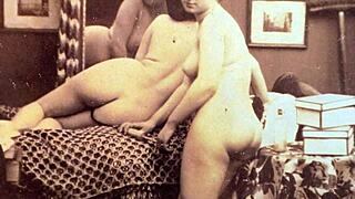 Dark Lantern Entertainment Presents Aged Film 8 From My Secret Life The Erotic Confessions Of A Victorian English Gentleman