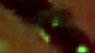 Busty Latina Babe Cums from Monster Cock Quickie Anal