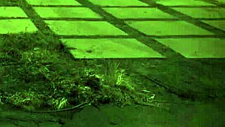 trampling domination unless you're from the sixties and dig that bdsm