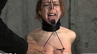 i share my sadomasochism stories with european group