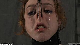 i share my sadomasochism stories with european group