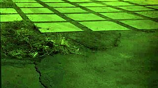 trampling domination unless you're from the sixties and dig that bdsm