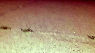 Blogging about another day in the life of myself returning after anal 4th of july celebration 2 😏