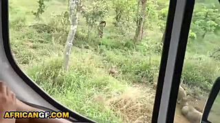 Ebony girlfriend sucks big cock on safari