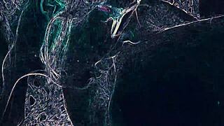 Club Scene with Rimming and Blowjob Under Lights