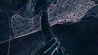 Club Scene with Rimming and Blowjob Under Lights