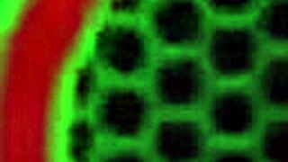 nice tits milf sara jay finger fucks 😏