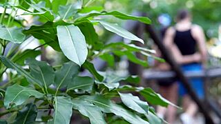 Pregnant Beauty Alicia Trece Gets Wild with Spanish Muscle Hunks