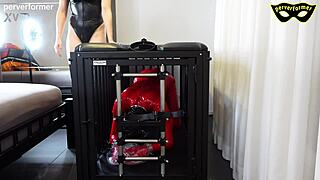 In this narrative, the slave endures painful bdsm resolutions with domination and humiliation.