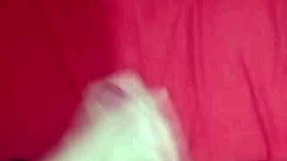 Novinho Branquinho Ponhetao