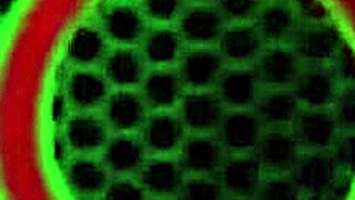 Jelena Jensen teases her big clit